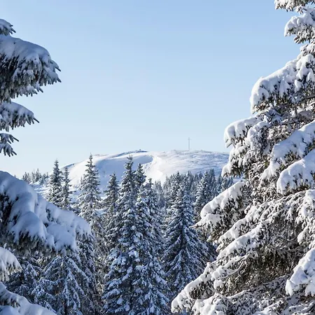 Lägenhet Schwarzwaldblick, 3 Schlafzimmer Todtnau-muggenbrunn, Liftverbund Feldberg *