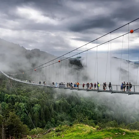 דירה Schwarzwaldblick, 3 Schlafzimmer Todtnau-muggenbrunn, Liftverbund Feldberg מוגנברון