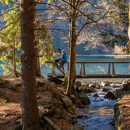 Schwarzwaldblick, 3 Schlafzimmer Todtnau-muggenbrunn, Liftverbund Feldberg