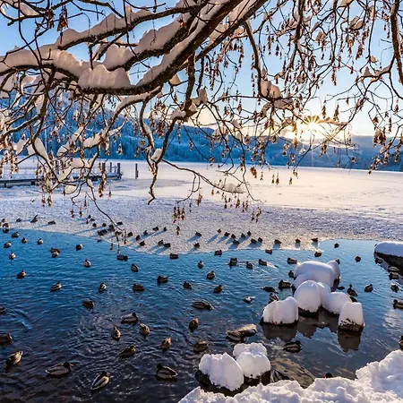 Schwarzwaldblick, 3 Schlafzimmer Todtnau-muggenbrunn, Liftverbund Feldberg *