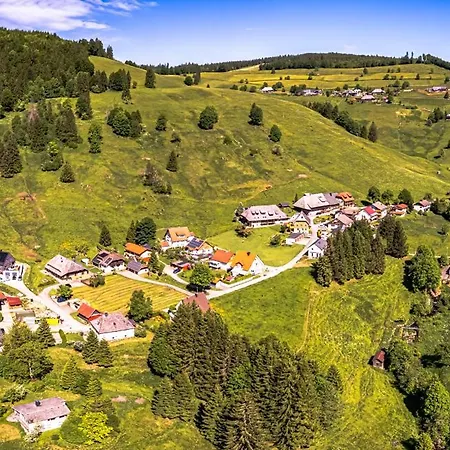 Schwarzwaldblick, 3 Schlafzimmer Todtnau-muggenbrunn, Liftverbund Feldberg Apartment