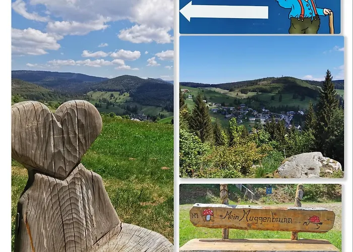Schwarzwaldblick, 3 Schlafzimmer Todtnau-muggenbrunn, Liftverbund Feldberg * Muggenbrunn